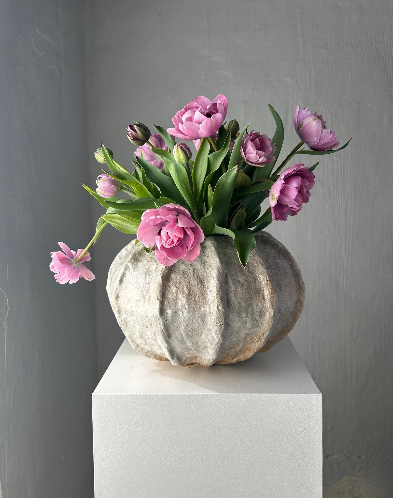 KAPSEL BEIGE